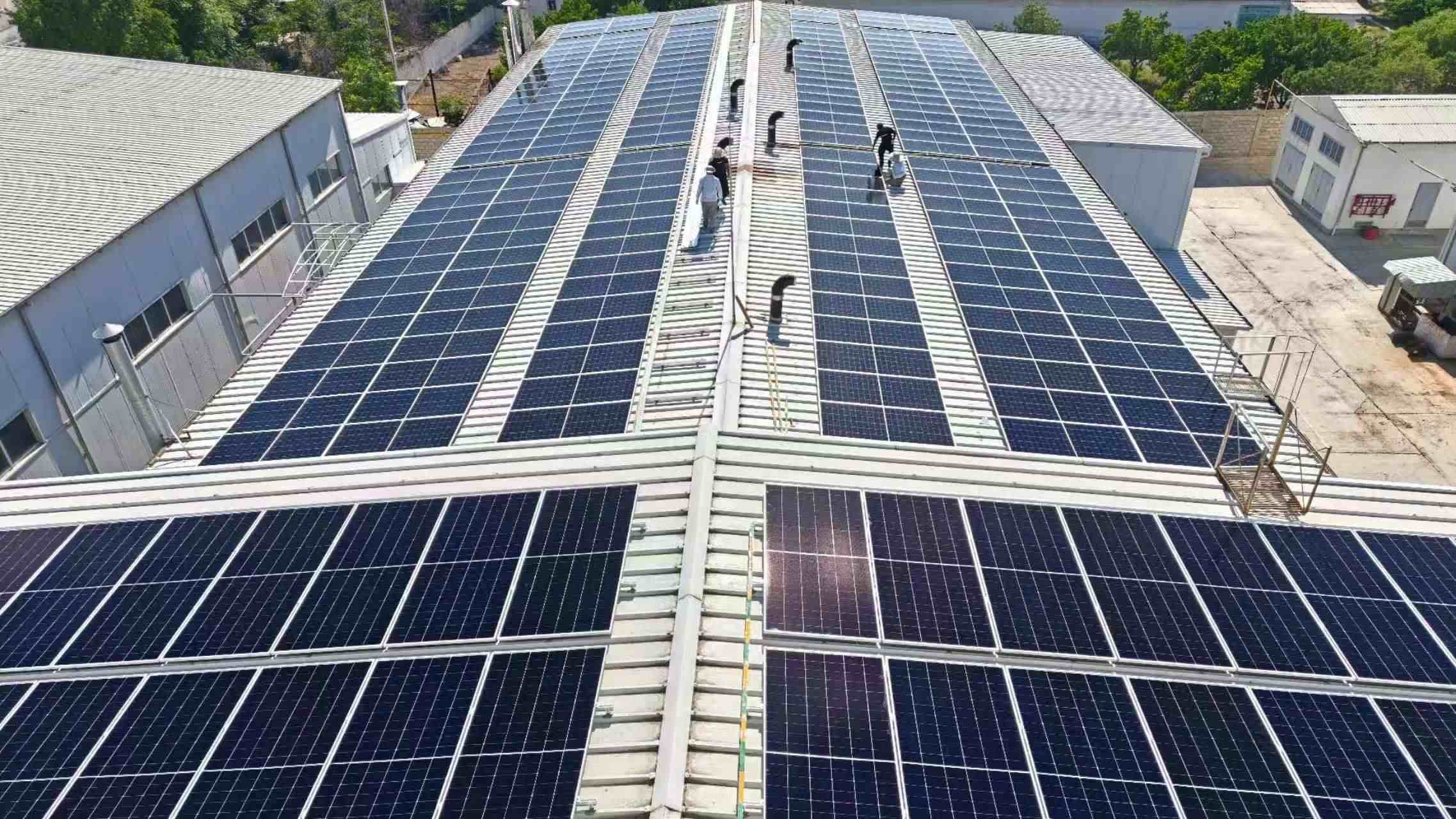 1MW + 2MWh Container Energy Storage System for South Africa Fruit Processing Factory