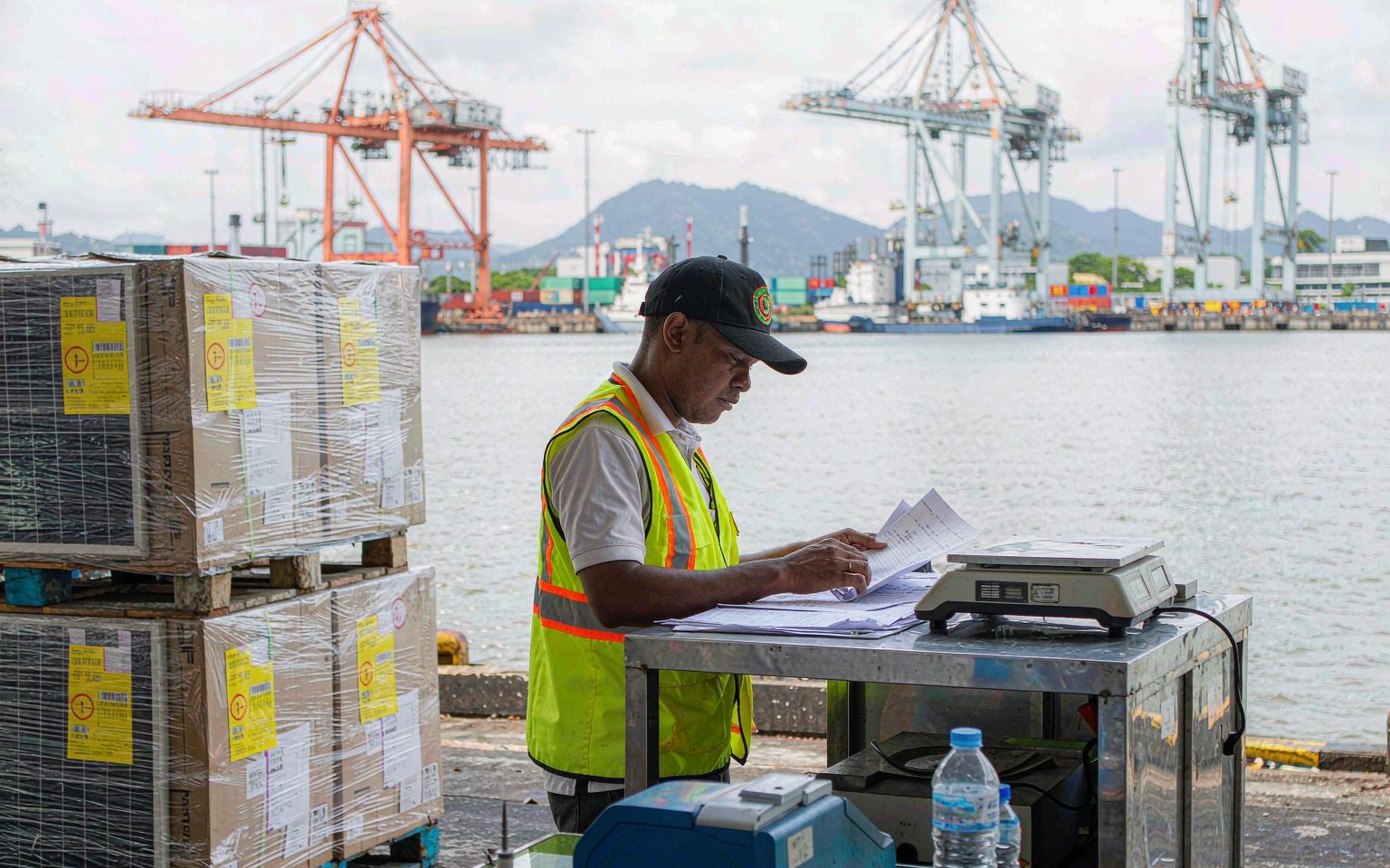 Customs officer reviewing HS code classification documents beside palletised solar modules at Port Moresby port