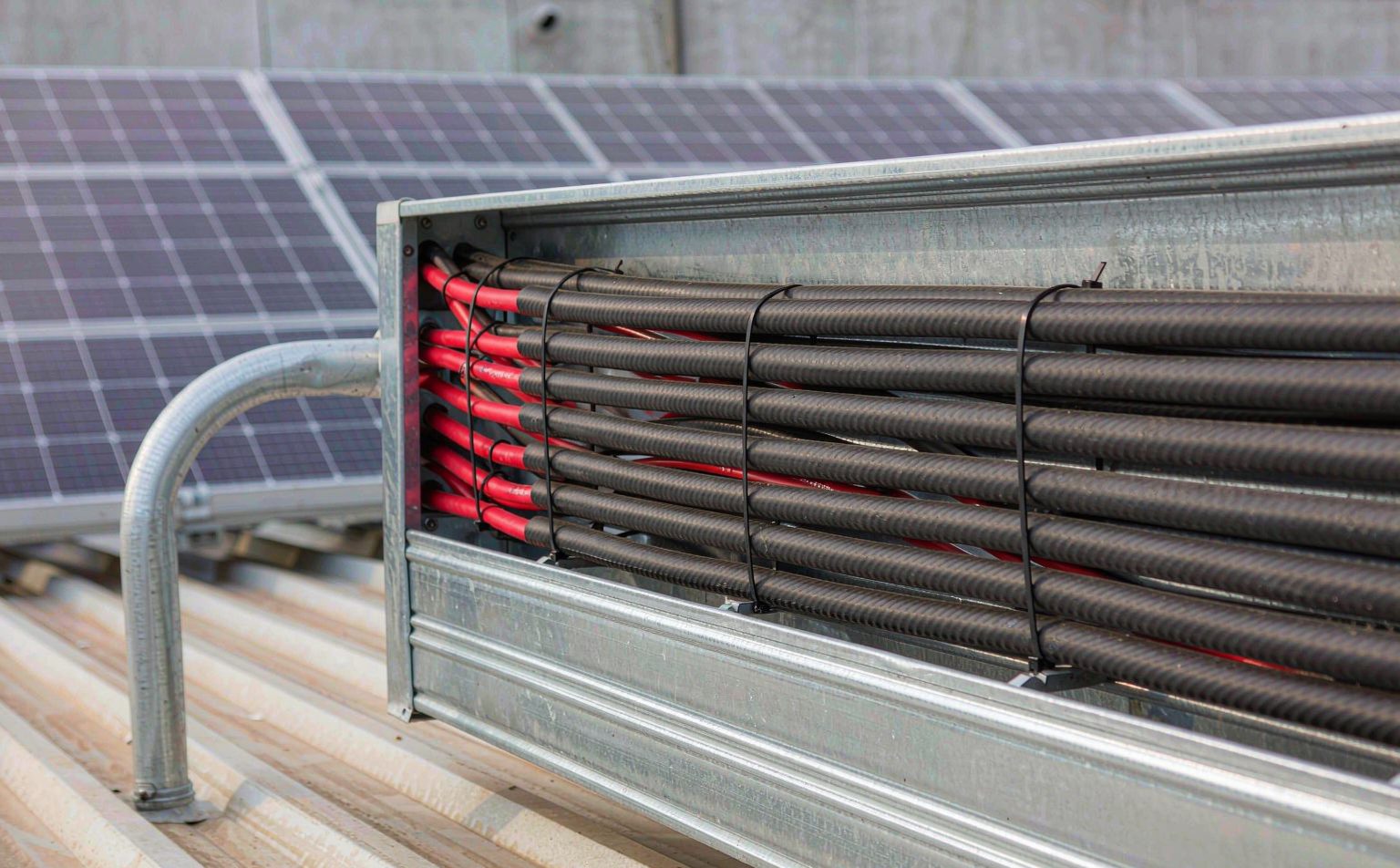 Solar cable trunking tray with polarity-coded DC cables and a conduit bend